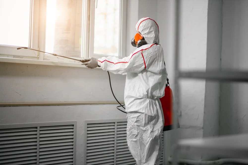 Professional mold remediation services in Cataldo, ID